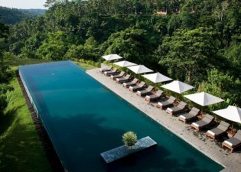 5 Resort Dengan Kolam Renang Hutan Tropis di Ubud – Bali