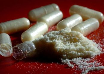 Molly (ilustrasi tribunnews.com)