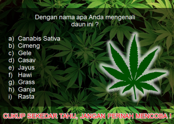 nama ganja