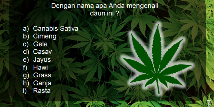 nama ganja