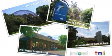 Kicauan Burung dari Sabang sampai Merauke di Taman Burung TMII