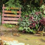 Welcome to Curug Cilember