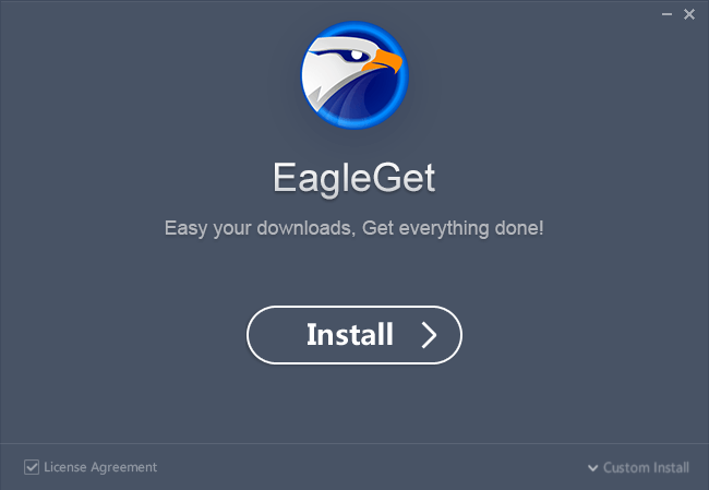 Install EagleGet